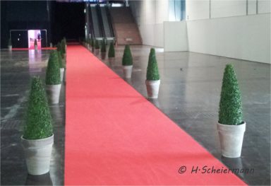 kleine Bux-Pyramiden zur Wegeführung