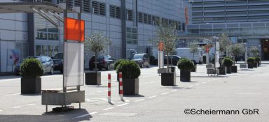 große Bux Kugeln und Olivenbäume zur Wegeführung